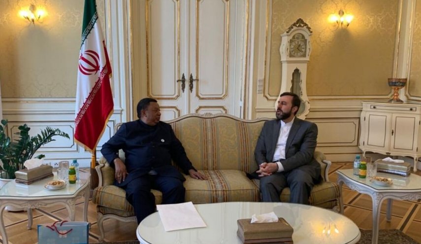 سفير ايران لدى فيينا يلتقي امين عام منظمة اوبك