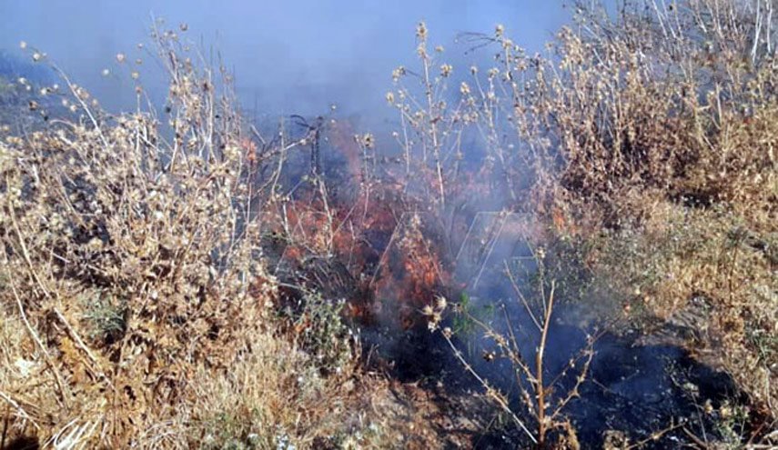 إخماد حريق اندلع في حقول قمح بريف حماة الغربي