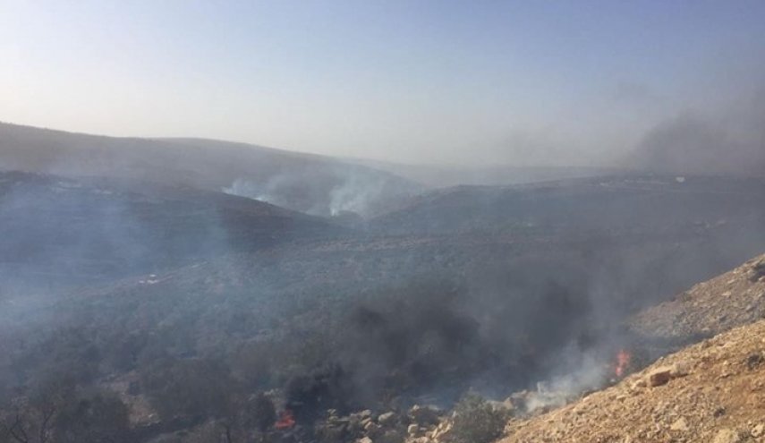 مستوطنون يضرمون النار في مساحات واسعة جنوب نابلس