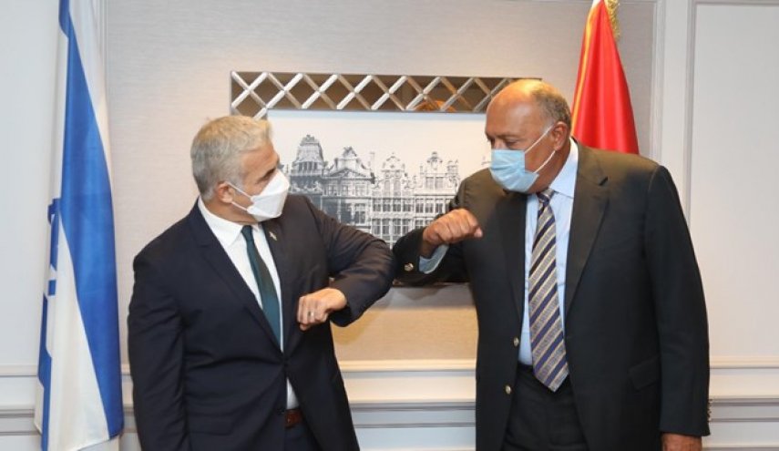 دیدار وزیر خارجه مصر با همتای صهیونیست
