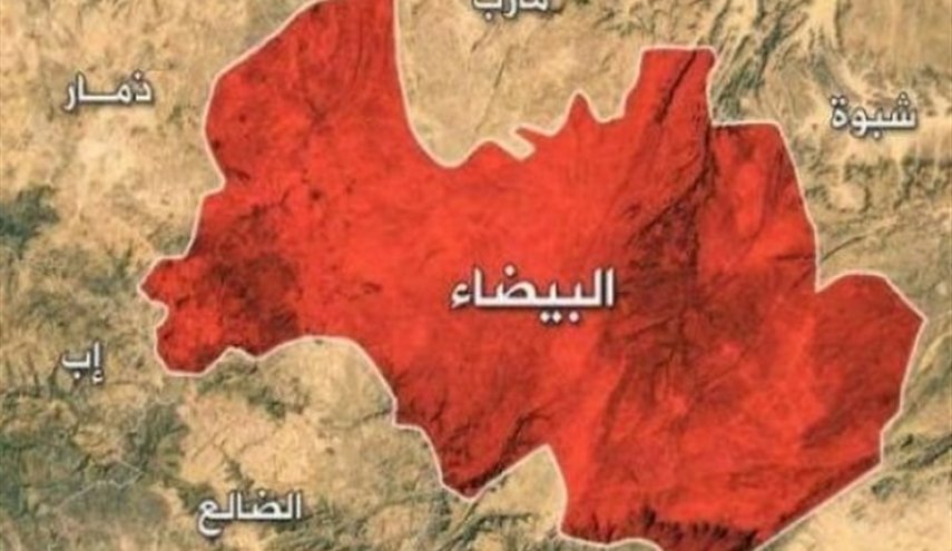القوات اليمنية تسيطر على أجزاء واسعة من 