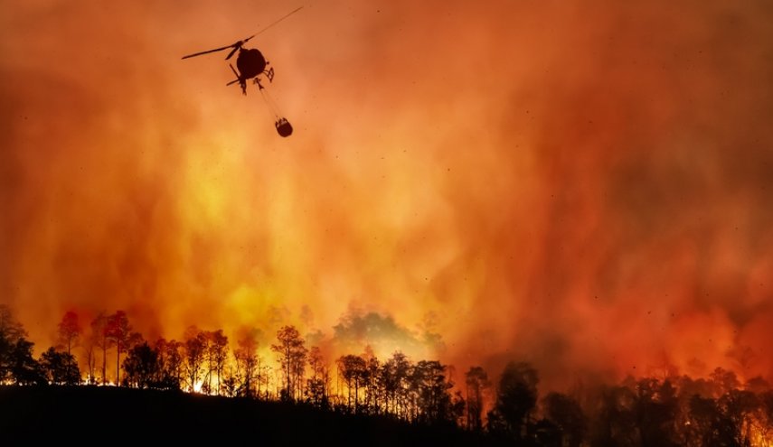 جهنم کالیفرنیا؛ 5400 آتش‌نشان در تلاش برای مهار آتش‌سوزی+ فیلم و عکس