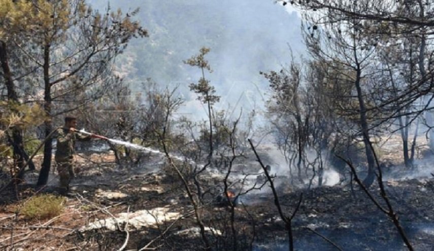 وزير الزراعة السوري يكشف حجم خسائر الحرائق التي امتدت من لبنان