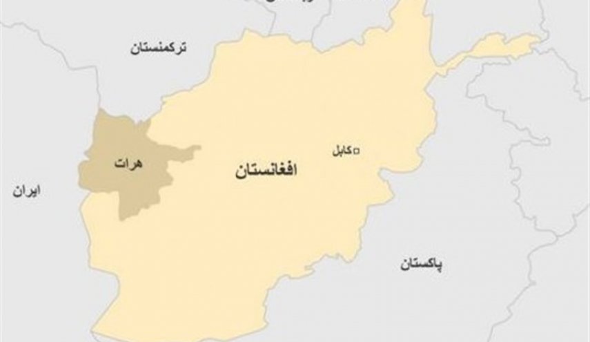 ادامه درگیری‌های هرات؛ طالبان در ورودهای شهر سنگر گرفته‌اند