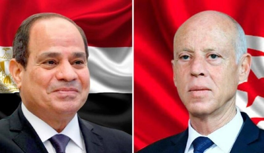 مصر تؤكد دعمها لتونس