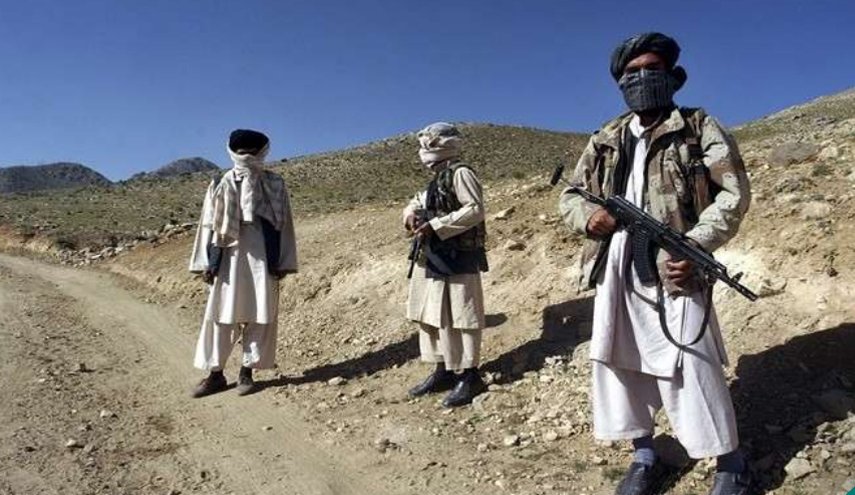 مقتل 50 عنصرا من طالبان في غارة جوية على عاصمة إقليم هلمند