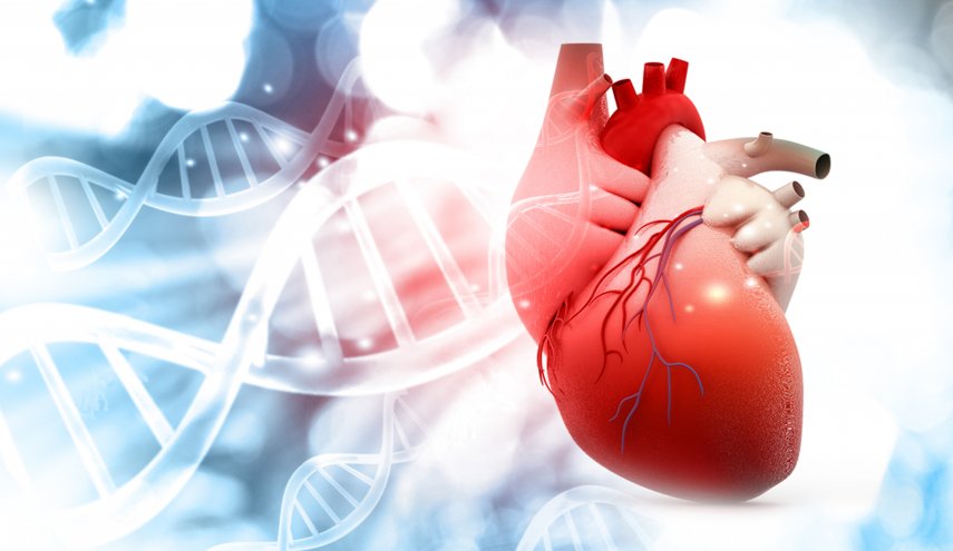 دراسة تحدد بصمات الحمض النووي المرتبطة بأمراض القلب