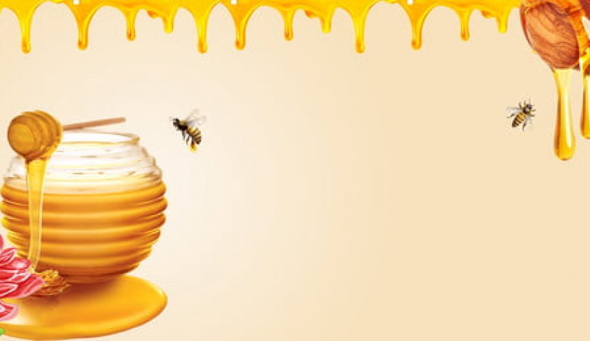 احرص على تناول غذاء ملكات النحل لهذه الاسباب