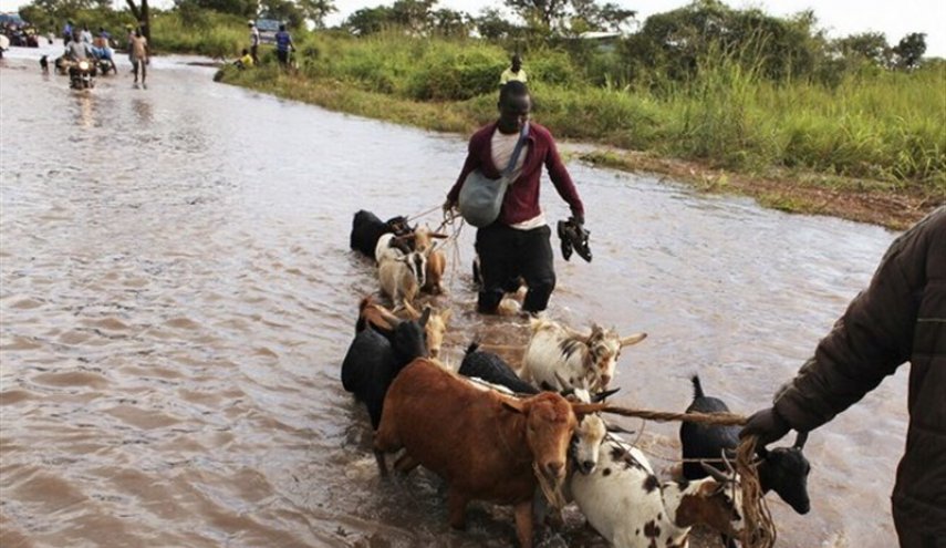 تضرر 90 ألف شخص جراء الفيضانات في جنوب السودان 