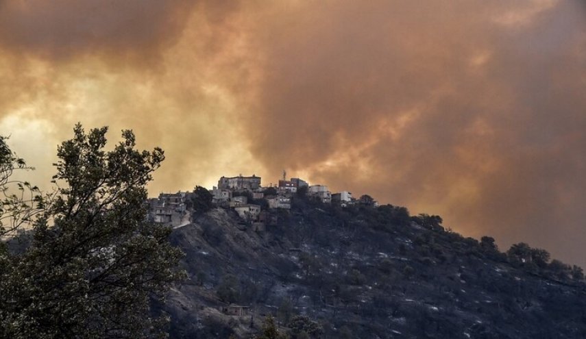 الجزائر.. ارتفاع عدد حرائق الغابات إلى 99 في 16 محافظة
