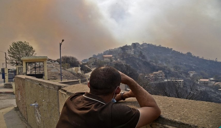 الجزائر.. مشروع قانون يقضي بسجن مفتعلي الحرائق 30 عاما
