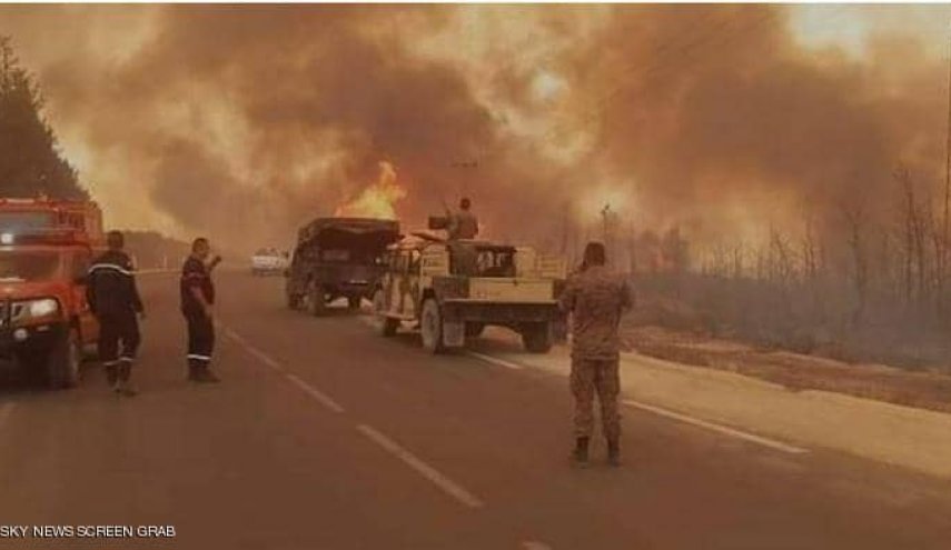 بعد الجزائر.. حرائق الغابات تتمدد في تونس