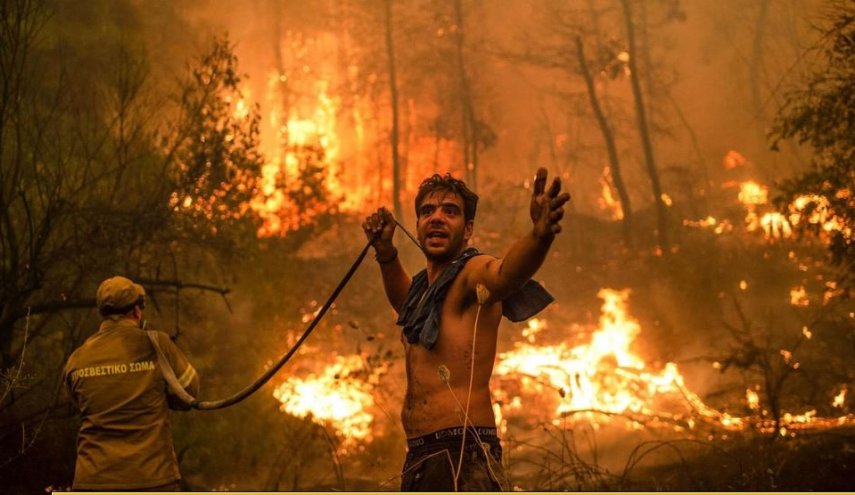 الجزائر تعلن حصيلة حرائق الغابات خلال الـ24 ساعة الماضية - قناة العالم  الاخبارية