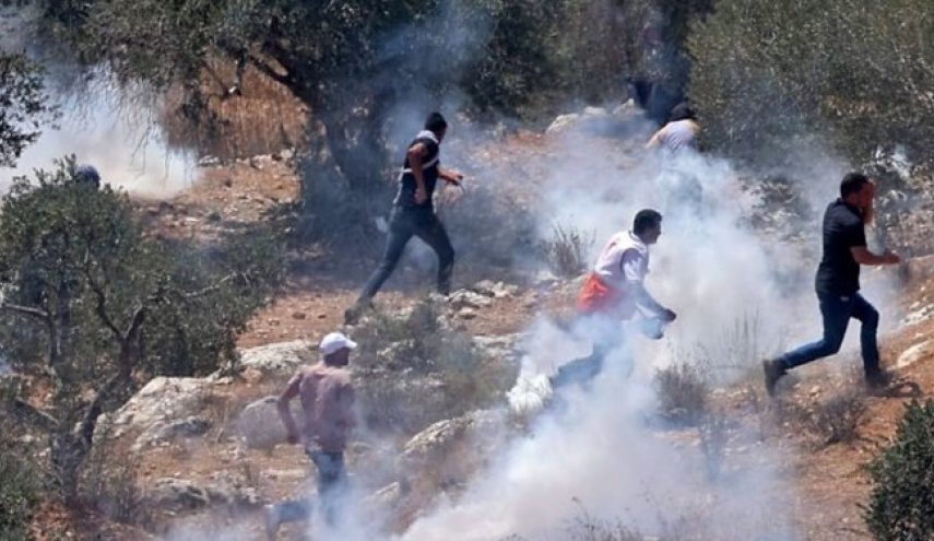 ده‌ها فلسطینی در حمله نظامیان صهیونیست به جنوب نابلس آسیب دیدند
