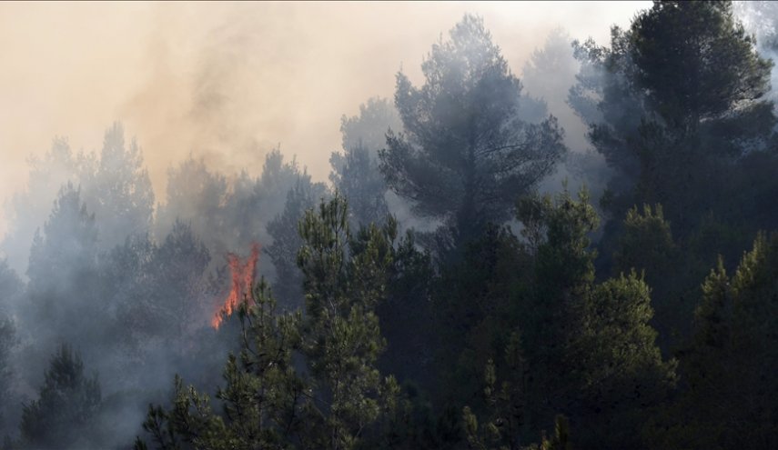 تجدد الحريق بغابات القدس والنيران تشتعل بـ20 ألف دونم
