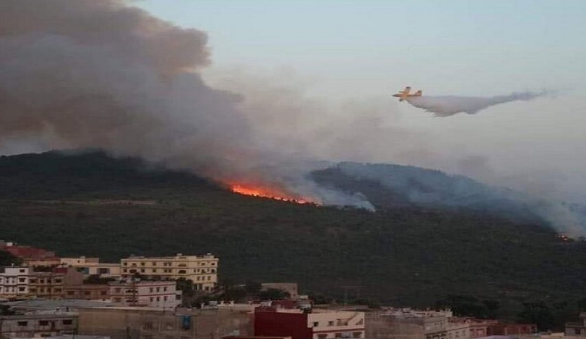المغرب.. انحسار حرائق الغابات في ولاية شفشاون
