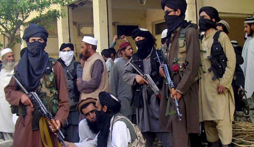'طالبان باكستان' تدعو إلى العمل من أجل إقامة الشريعة على غرار أفغانستان

