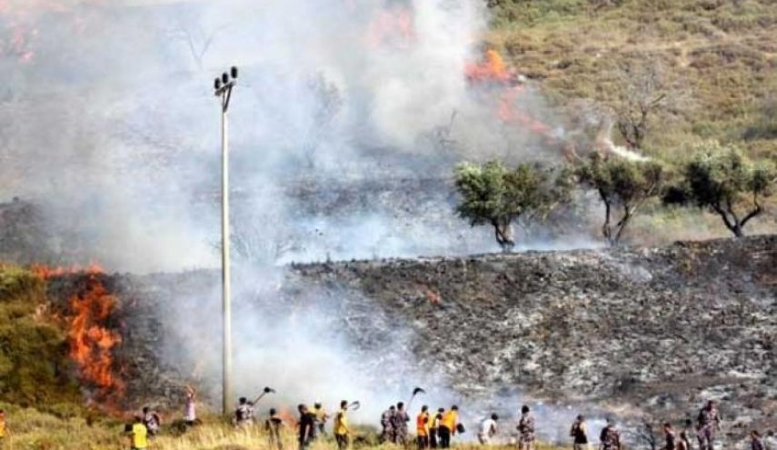مستوطنون يضرمون النار بأشجار الزيتون شمالي الضفة

