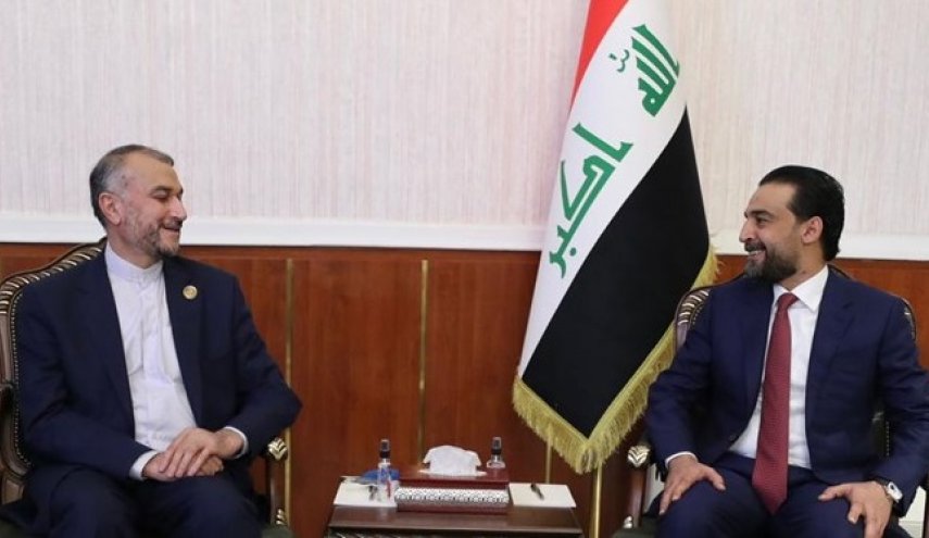 دیدار امیرعبداللهیان با رئیس پارلمان عراق
