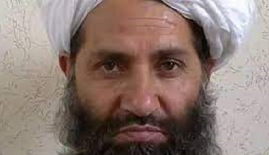 رهبر طالبان: از خاک افغانستان برضد هیچ کشوری استفاده نمی‌شود
