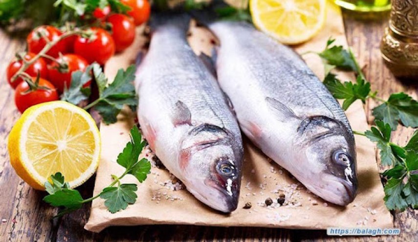 ما هي الأسماك الأكثر صحة لتناولها؟.. تعرف عليها