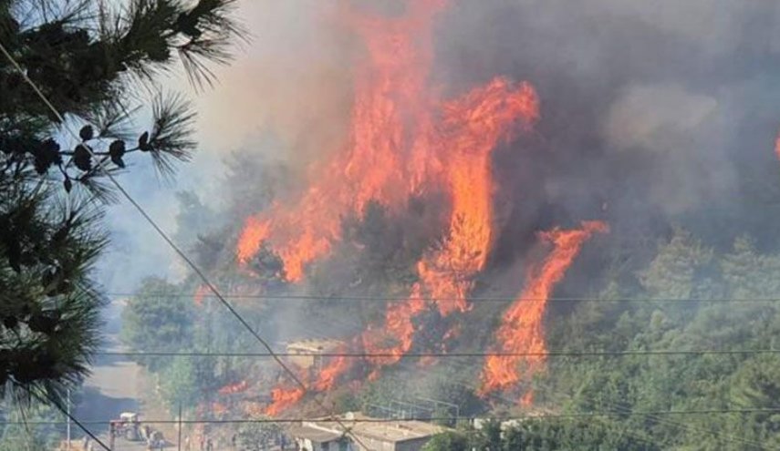 الحرائق تتمدد في احراج رحبة وجبرايل وايلات شمال لبنان