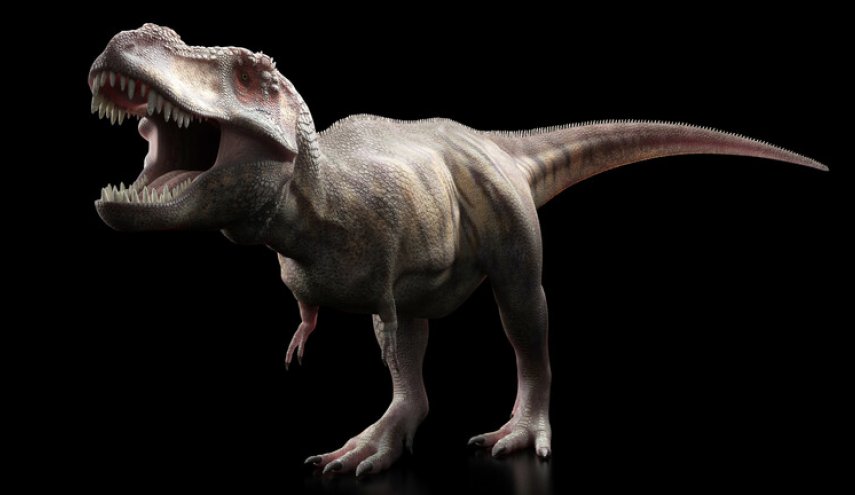 تحليل أحفوري يكشف عن ديناصور غريب بحجم الدجاجة يطلق عليه اسم 'الزعيم التنين'