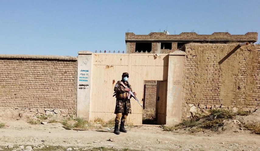 استسلام 65 مسلحا من جماعة 'داعش' في ولاية ننغرهار بأفغانستان
