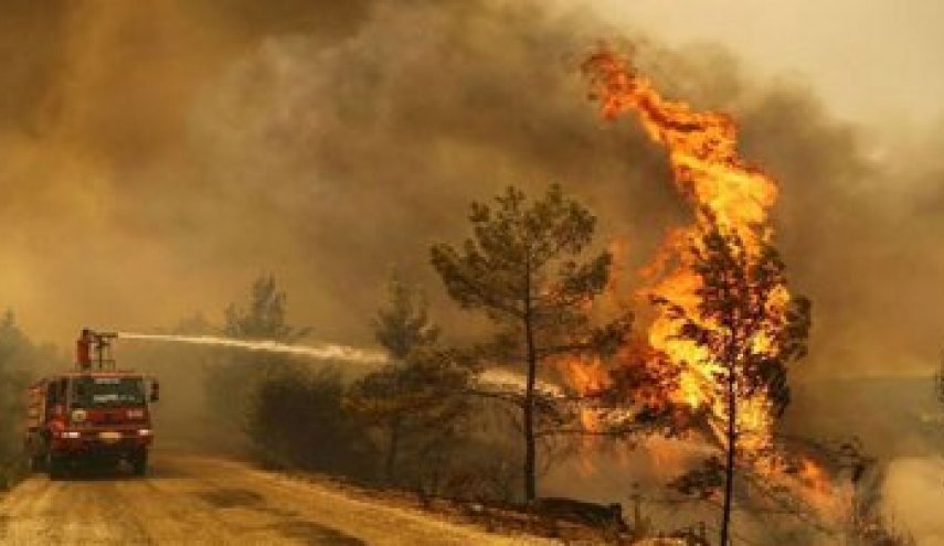 مصادر عبرية: الحرائق الكبرى المندلعة في ’إسرائيل’ بفعل فاعل