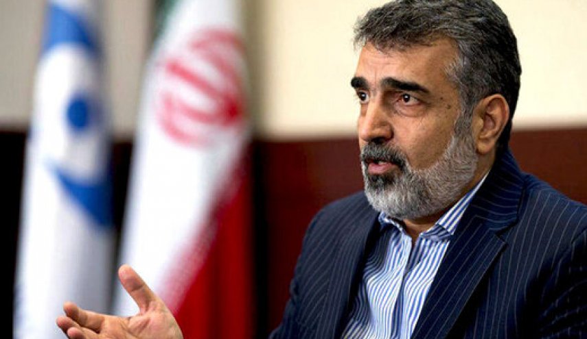 کمالوندی: ایران بدنبال صنعت هسته ای صلح آمیز است