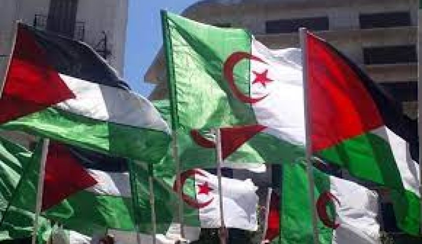هشدار درباره خطر نزدیک شدن موساد به مرزهای الجزایر