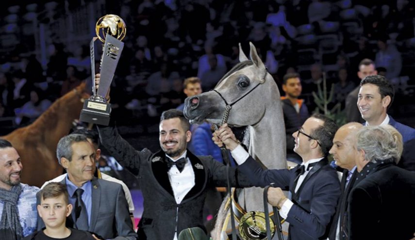 بالصور..الخيل الفلسطيني يتوج بإجمل الخيول العربية في باريس