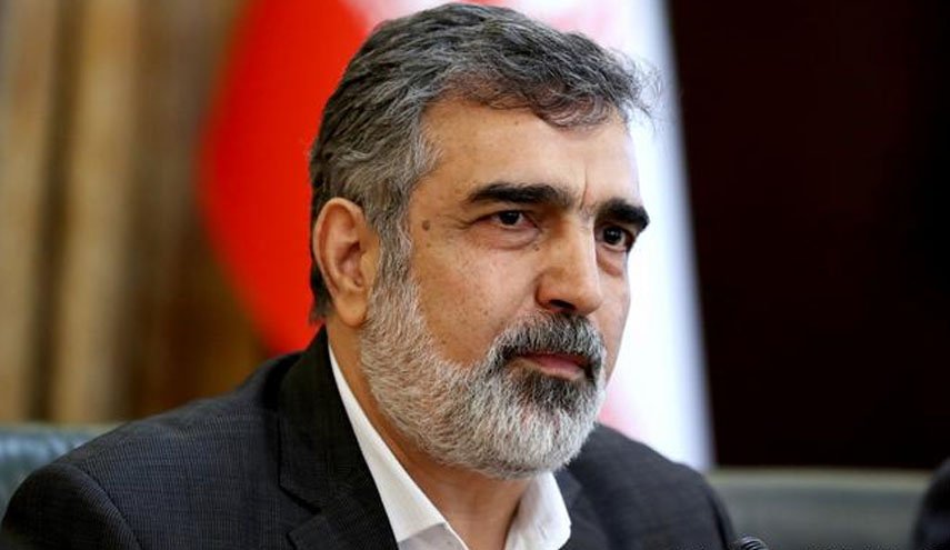 کمالوندی: ایران از امروز فرآیند بررسی‌ دوربین‌ها را در کرج آغاز می‌کند