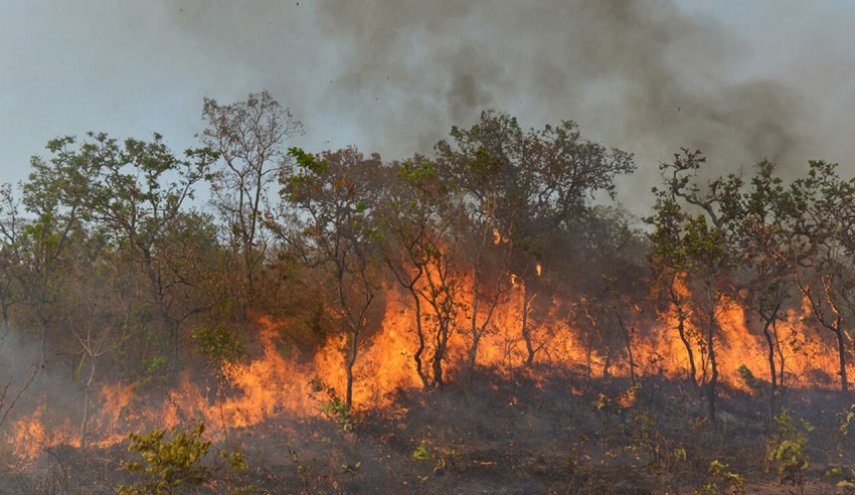 حرائق الغابات في المغرب تتواصل وتحصد آلاف الهكتارات