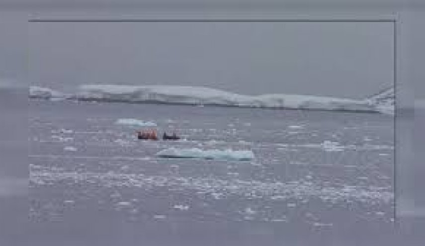حل لغز في القطب الشمالي بعد اكتشاف كائنات غريبة في أعماق المحيط!