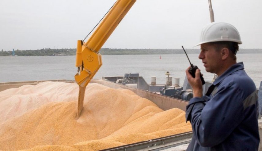 مخاوف مصرية من تداعيات ازمة اوكرانيا على صادرات القمح