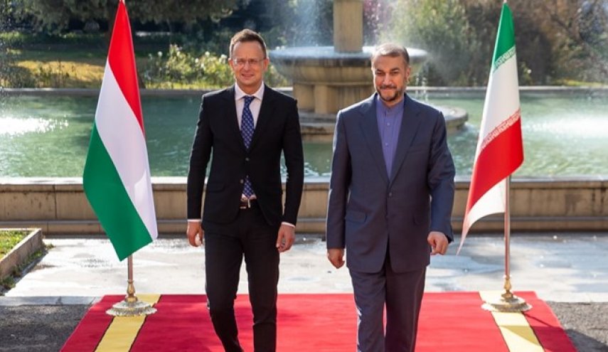 درخواست امیرعبداللهیان از همتای مجارستانی برای تسهیل روند انتقال ایرانیان از اوکراین به ایران
