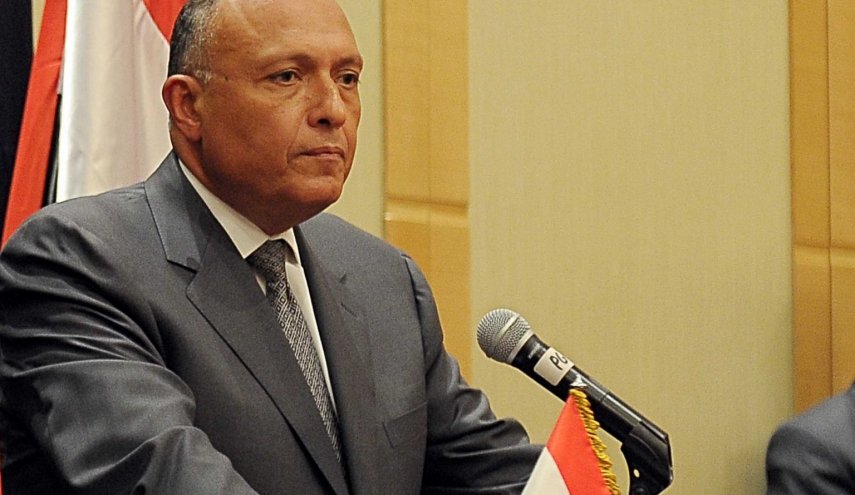 وزير الخارجية المصري يتحدث عن دور العرب في الأزمة الاوكرانية