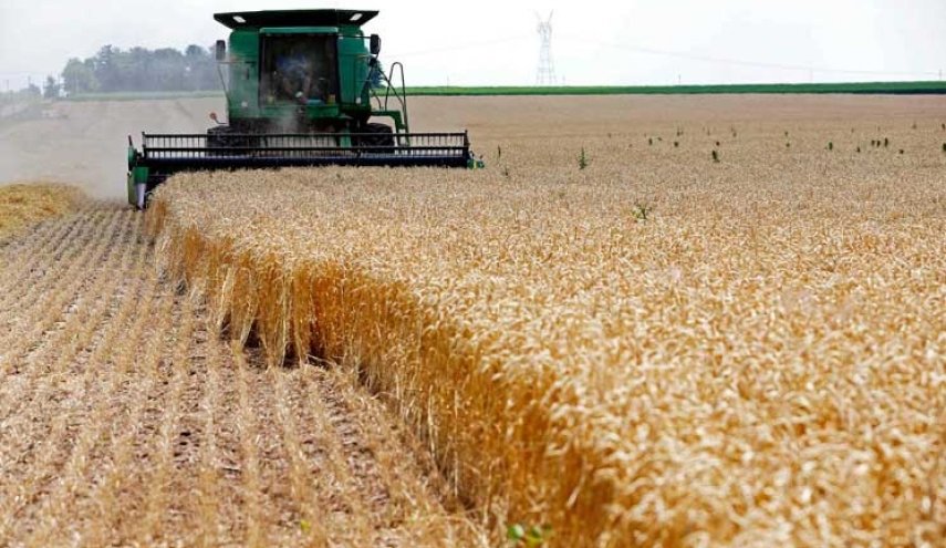 الجزائر تحظر تصدير مواد غذائية ومشتقات القمح لحماية الاقتصاد