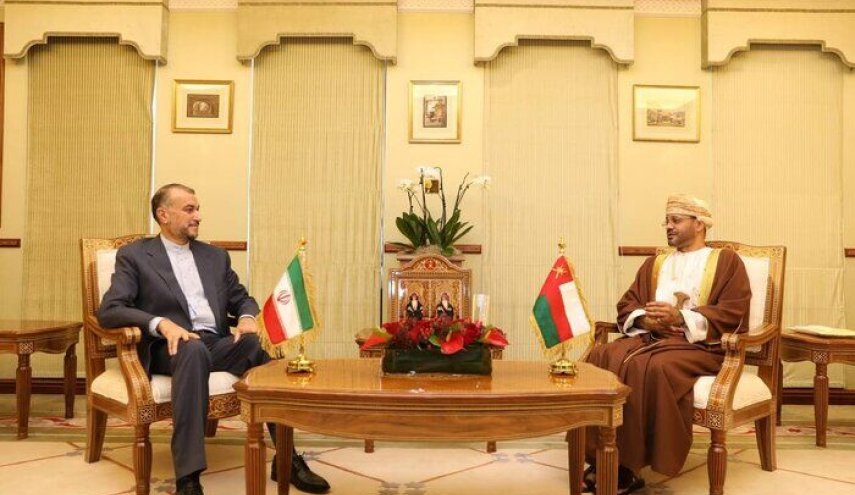 وزير الخارجية العماني يامل باتخاذ الخطوات النهائية في محادثات فيينا على وجه السرعة