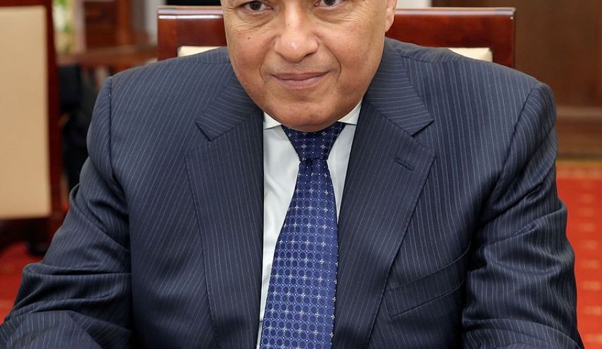 زيارة وزير الخارجية المصري إلى أمريكا: محاولة لاحتواء غضب الكونغرس