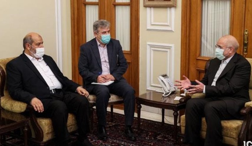 دیدار عضو ارشد جنبش حماس با رئیس مجلس شورای اسلامی