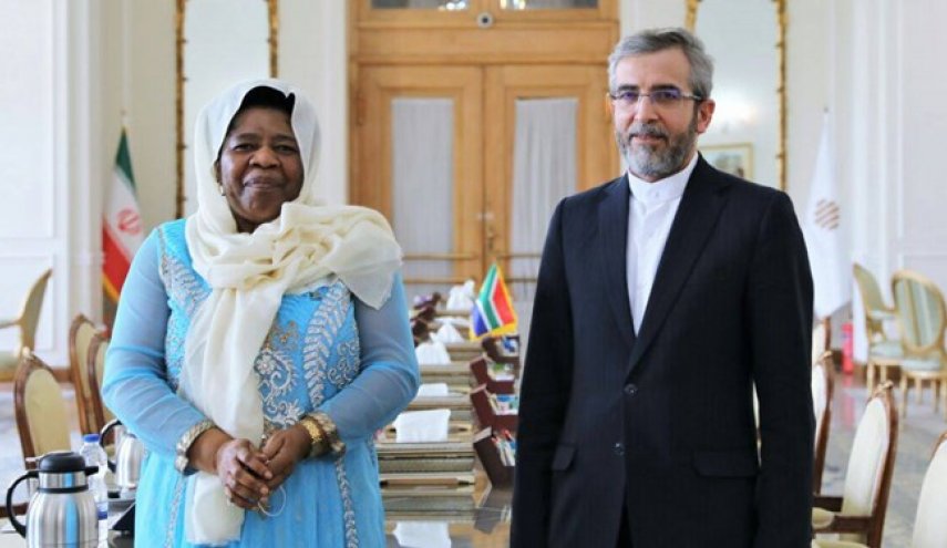 تأکید باقری بر توسعه همکاری‌های ایران و آفریقای جنوبی برای مقابله با یکجانبه‌گرایی