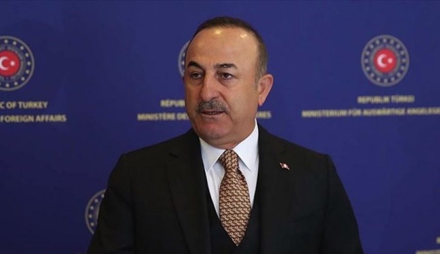 رسانه صهیونیست؛ وزیر خارجه ترکیه وارد اسرائیل شد