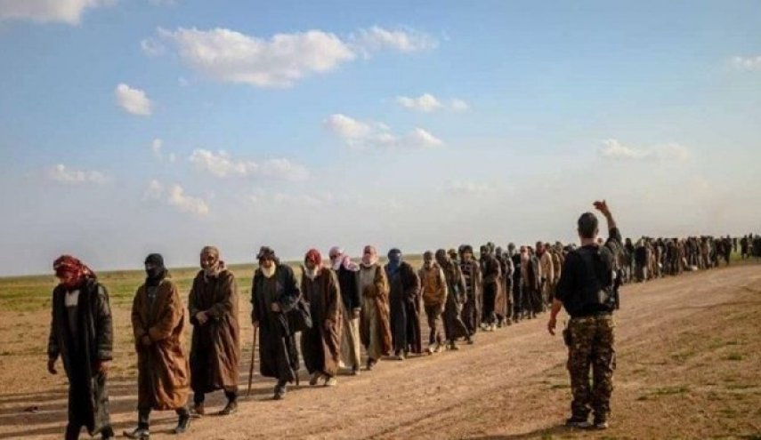 عراق ۵۰ داعشی را از «قسد» تحویل گرفت
