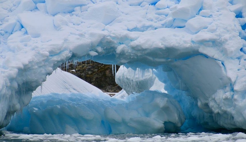 اكتشاف نظام بيئي جديد ' أشبه بعالم خفي ' تحت جليد القطب الجنوبي