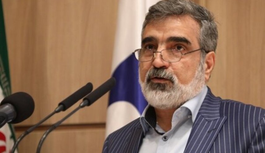 كمالوندي: الوكالة على علم بخطوات إيران في منشأة نطنز