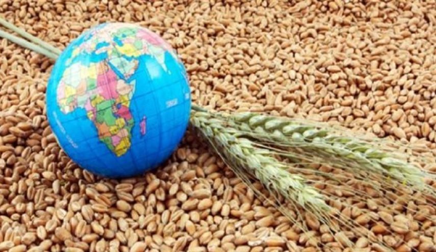 دول ’بريكس’ تؤكد على دورها في ضمان الأمن الغذائي العالمي