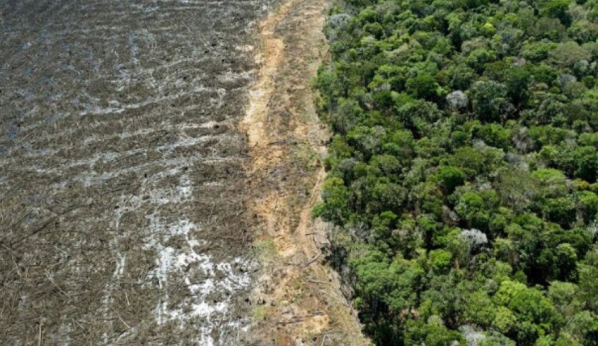 جنگل‌زدایی در آمازون در نیمه نخست سال جاری میلادی رکورد جدید برجا گذاشت