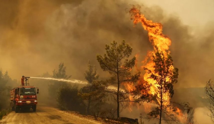 19 مصابا بحرائق ضخمة تلتهم الغابات بجنوبي تركيا